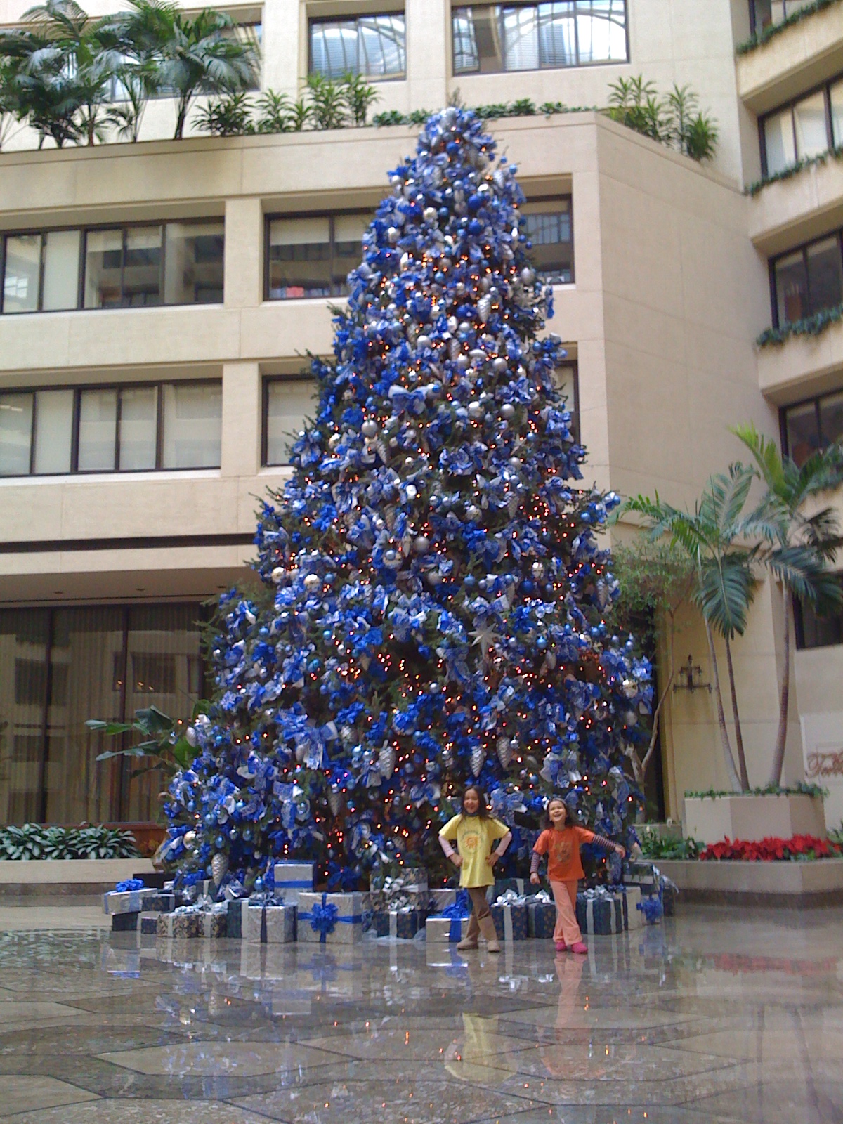 Girls under IMF Christmas tree